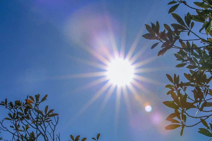 排球超级联賽(sài)卫冕冠军提前(qián)锁定季后賽(sài)名额